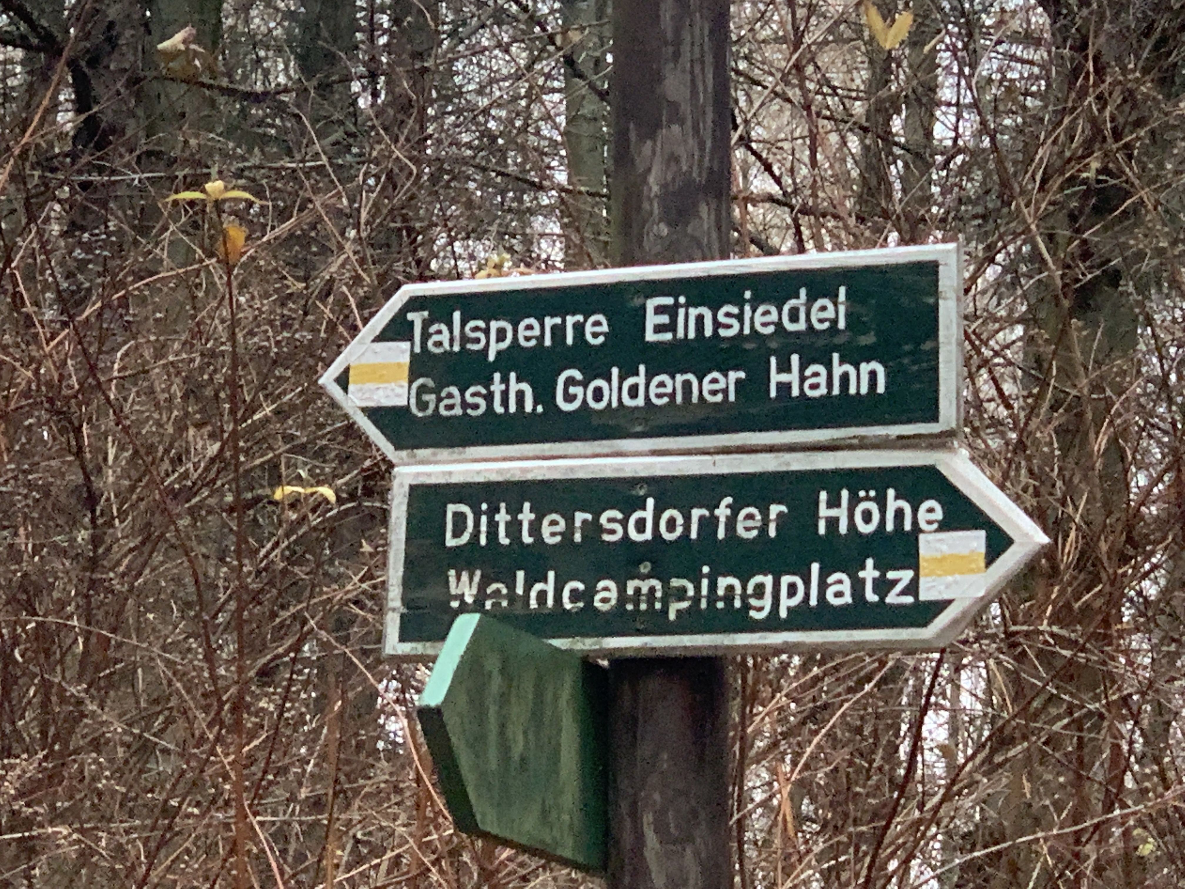 2019-12-Goldner_Hahn_002.JPG
